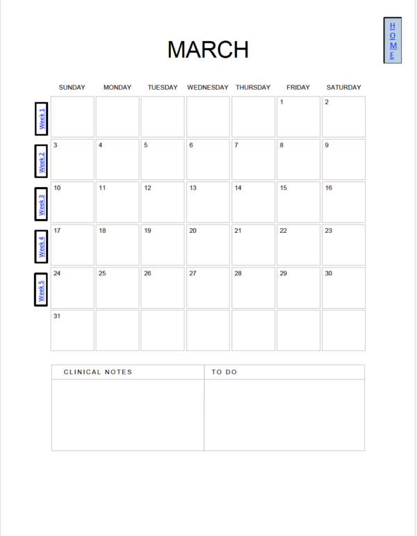 Simple Design - 2024 Nursing Student Academic Planner - Image 4